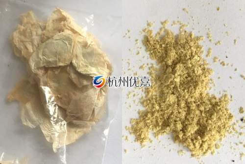 如何利用宋慈高通量多樣品組織研磨儀研磨植物組織？