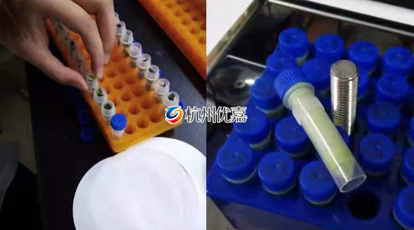 宋慈研磨儀批量研磨植物組織，速度快，重復(fù)性好