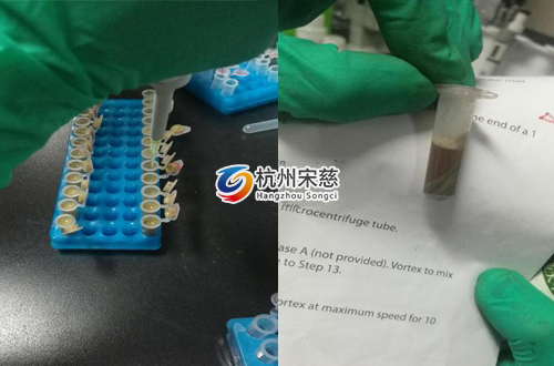<a href=http://www.sxcall.com/prouduct/lengdong/ target=_blank class=infotextkey>冷凍研磨儀</a>